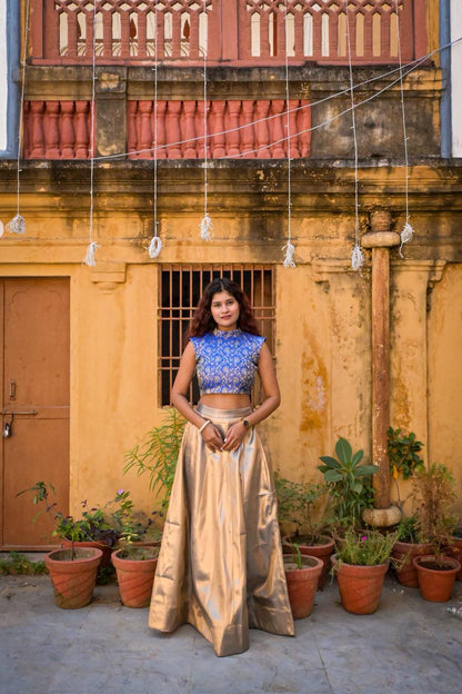 Tana bana crop top and lehanga skirt set