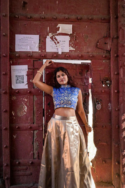 Tana bana crop top and lehanga skirt set